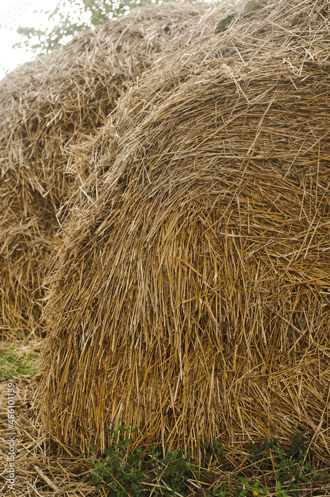 Haystack or hay straw. Haystack, hay straw