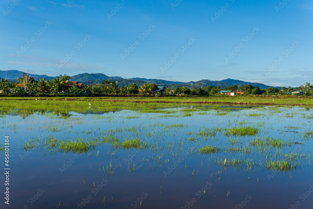 Beautiful rural landscape with clear blue sky