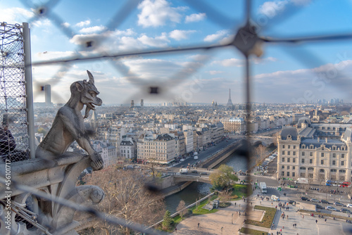 gargoyle on notre dame cathedral