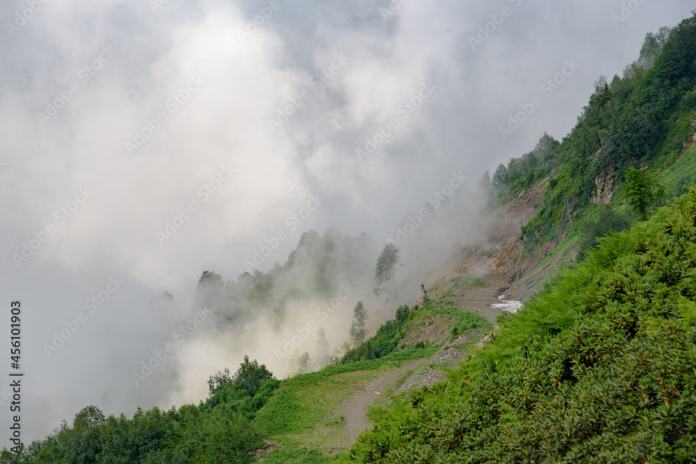 fog in the mountains fog in the mountains