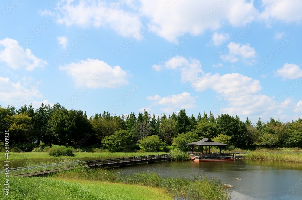穏やかな秋 青空 池 風景 穏やかな秋 青空 池 風景