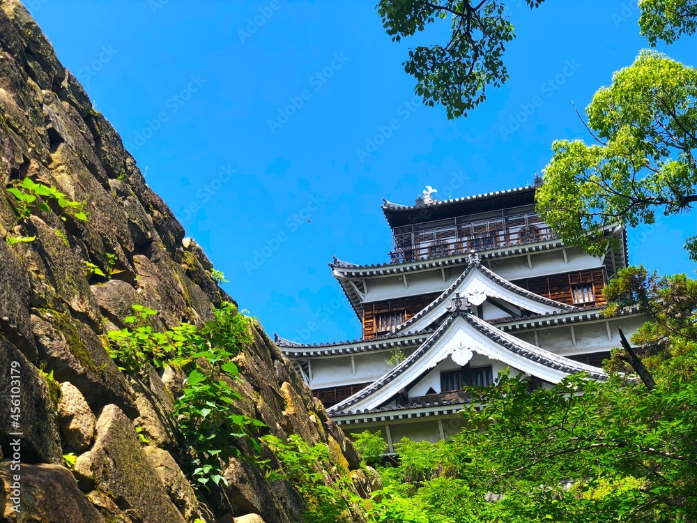 Fototapeta premium 青空と広島城（天守閣と石垣）、広島市