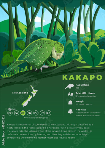 Animal Infographic Series - Kakapo