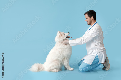 Veterinarian with cute dog ...