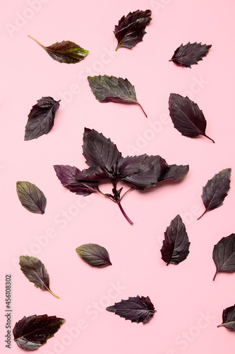 Composition with fresh basil on color background © Pixel-Shot
