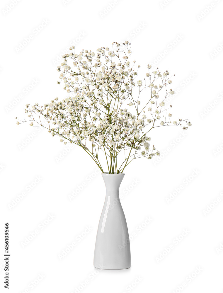 Obraz premium Beautiful gypsophila flowers in vase on white background