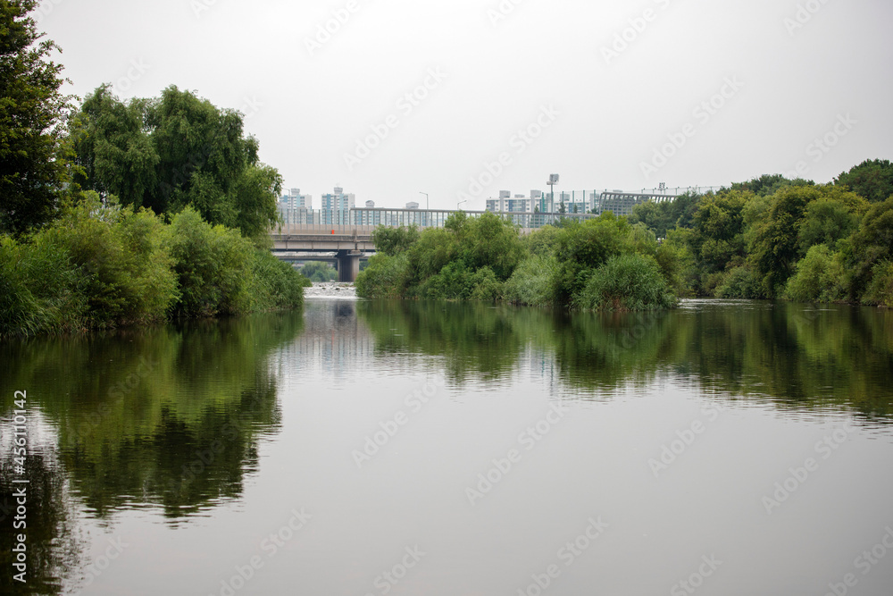 Obraz premium 탄천