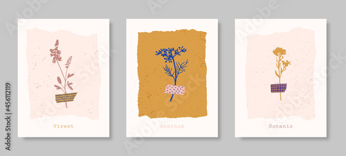 Set of Abstract Floral Backgrounds in Contemporary Style. Vector Botanical Illustrations. Wild Flowers Glued to the Tape