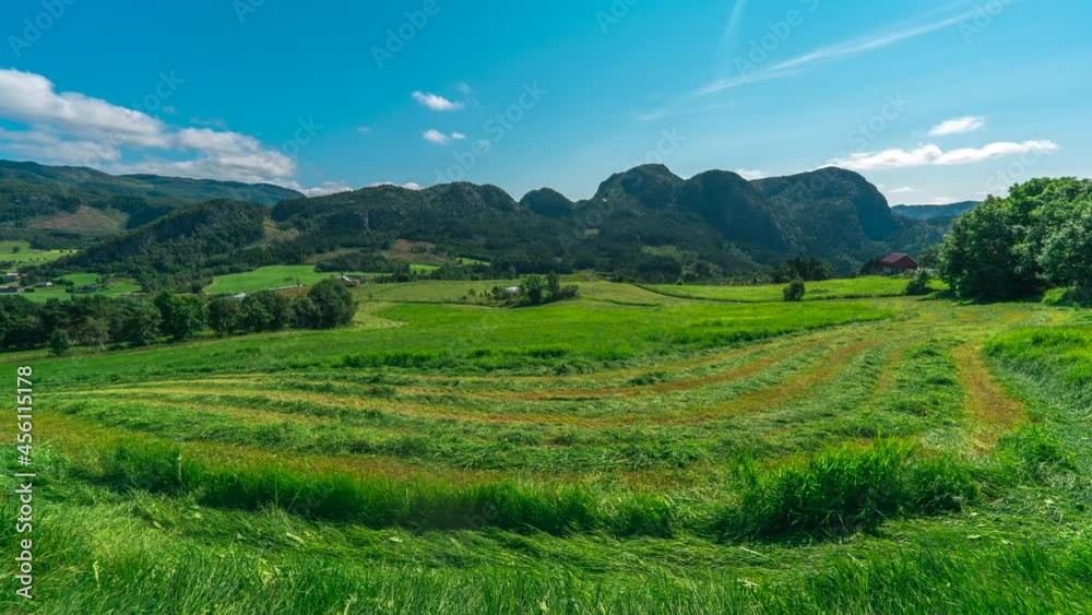Silage production from lush green fields on Norwegian farm Silage production from lush green fields on Norwegian farm