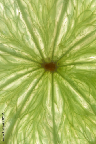 macro photo of lime on white background