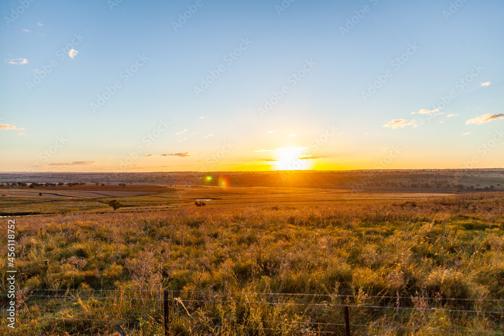 Sunset with sun on horizon over grassy farm paddock with clear sky