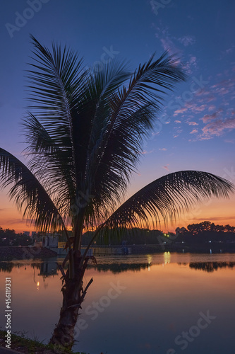 palm trees at sunset © Mathias
