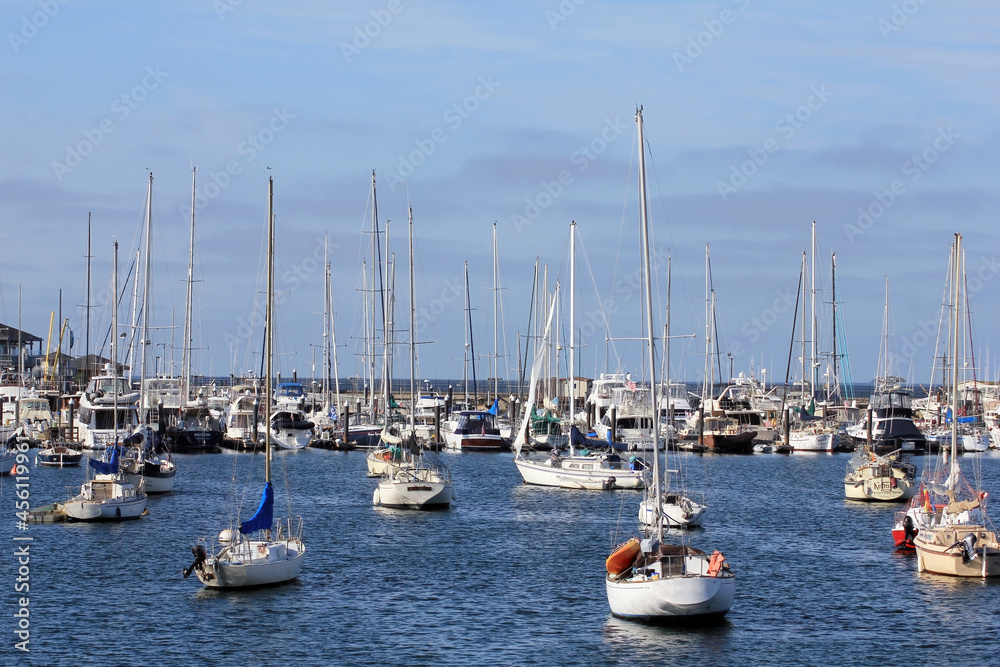 Large number of sailboats moored in a marina