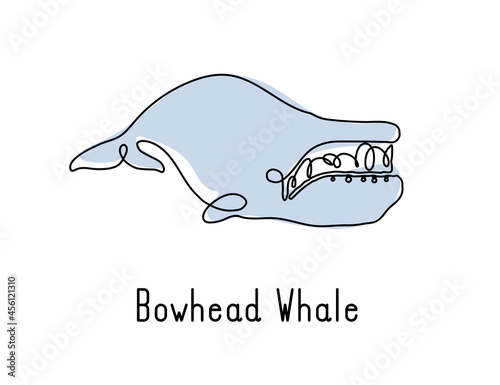 Single continuous line drawing of bowhead whale for marine company logo identity. Big fish mammal animal mascot concept for business logotype. Modern one line draw design illustration vector graphic photo