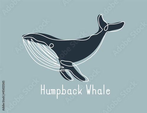 Single continuous line drawing of blue whale for marine company logo identity. Big fish mammal animal mascot concept for business logotype. Modern one line draw design illustration vector graphic