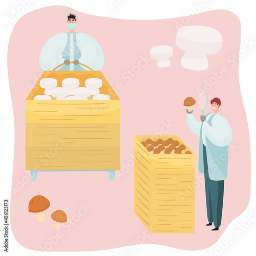 A worker checks the quality of mushrooms in production.