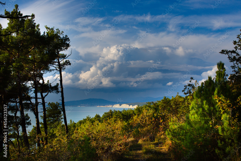 View of the forest, sea and clouds