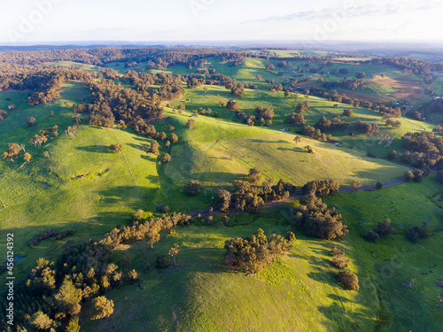 view over undulating verdant landscape punctuated by trees