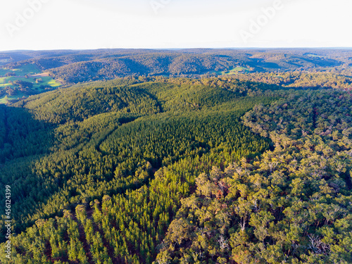 aerial view of hills with forest and pine plantation