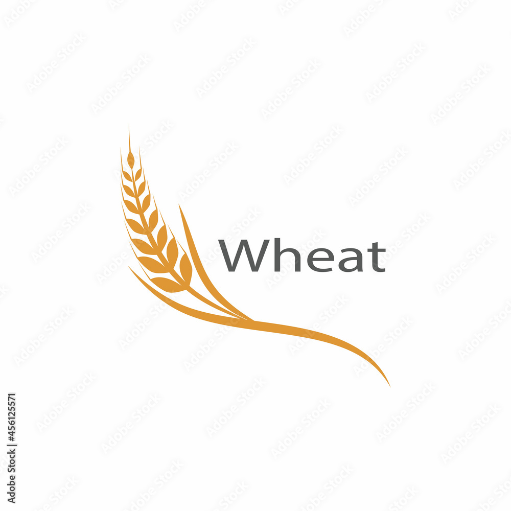 Agriculture wheat vector icon design Agriculture wheat vector icon design