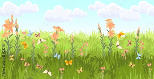 Meadow with wildflowers and butterflies. Seamless illustration. Grass close-up. Green landscape. Summer sky. Cartoon style. Flat design. Flowers. Vector art