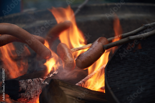 Multiple hot dogs on sticks being grilled outdoor over an campfire