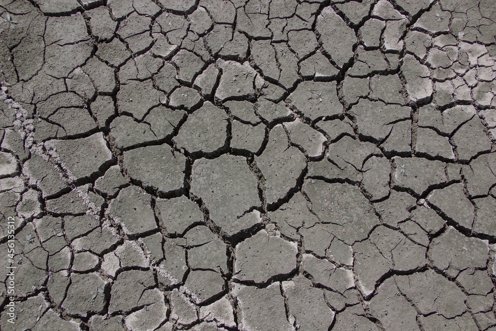 Cracked dry land during a drought. A long time without rain. Infertile soil without plants Cracked dry land during a drought. A long time without rain. Infertile soil without plants