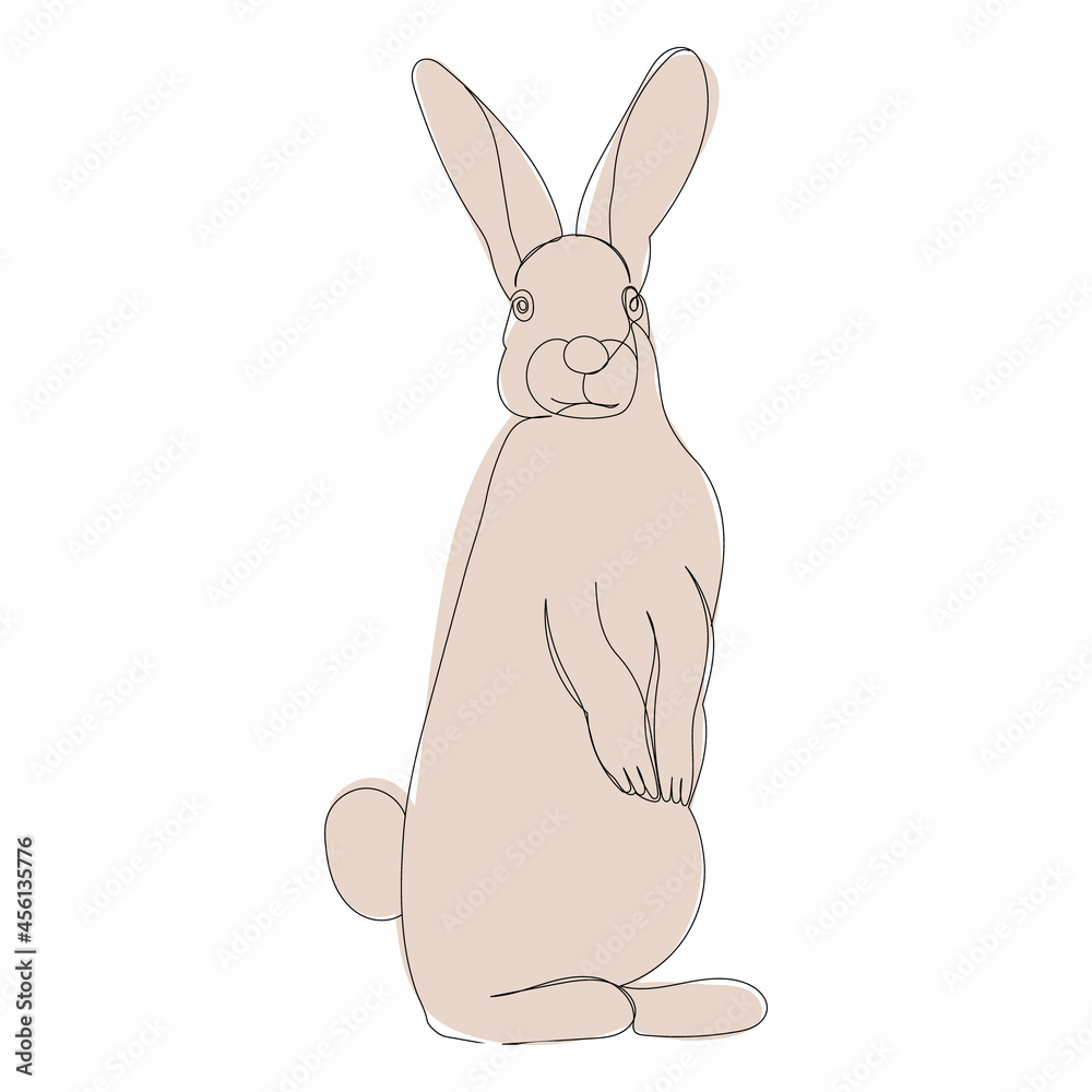 rabbit, hare drawing by one continuous line, sketch rabbit, hare drawing by one continuous line, sketch