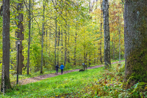 People walking on a footpath in a nature park in the autumn