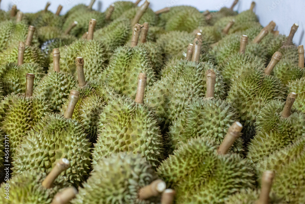Group of durian. Blurred foreground and background. Group of durian. Blurred foreground and background.