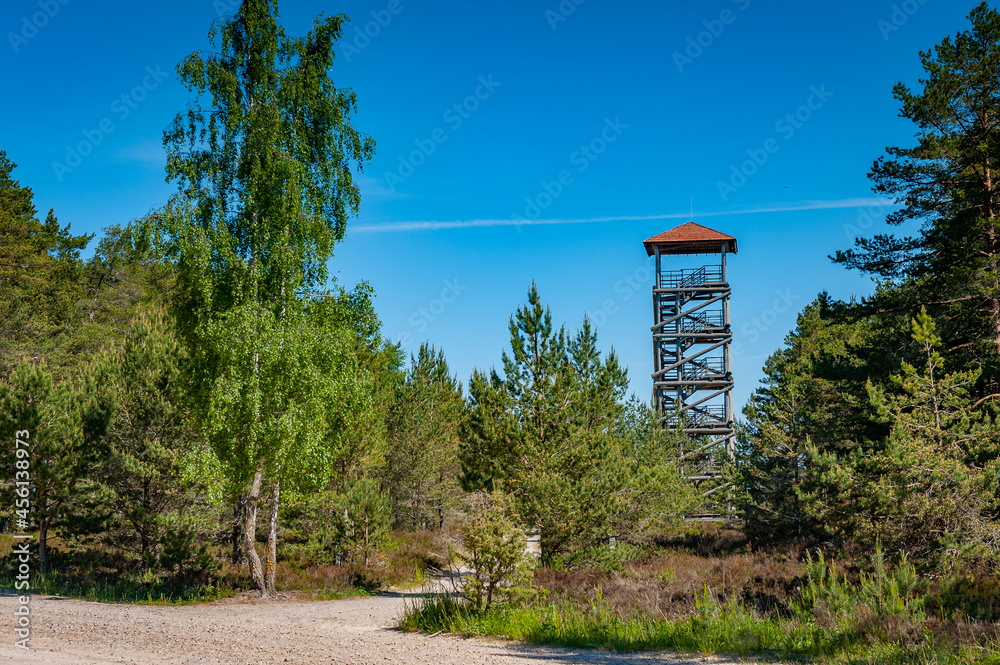 A viewing tower at the Cape Kolka. Latvia. Wooden watchtower with pine trees. A viewing tower at the Cape Kolka. Latvia. Wooden watchtower with pine trees.