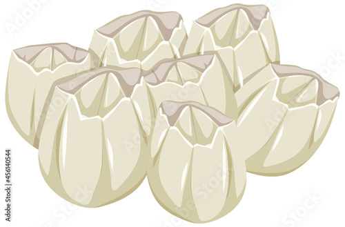 Ivoly Barnacles in cartoon style on white background