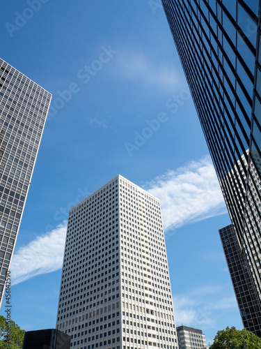 skyscrapers in the city
