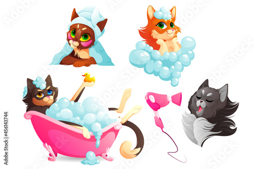Cats or dogs spa and grooming service, funny kittens and puppies enjoying salon procedures, pets dry hair with fan and towel, take bath in tub with shampoo bubbles and rubber duck. Cartoon vector set