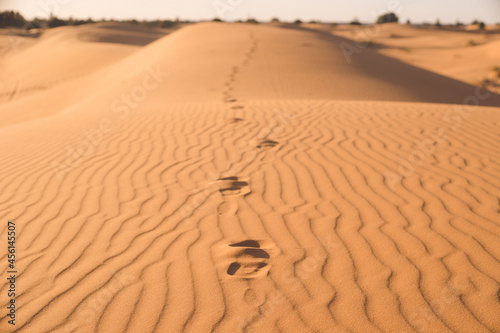 モロッコ メルズーガ サハラ砂漠砂丘の足跡 © mm