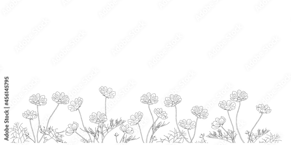 コスモスの線画フレーム 下部 黒 Stock Vector Adobe Stock