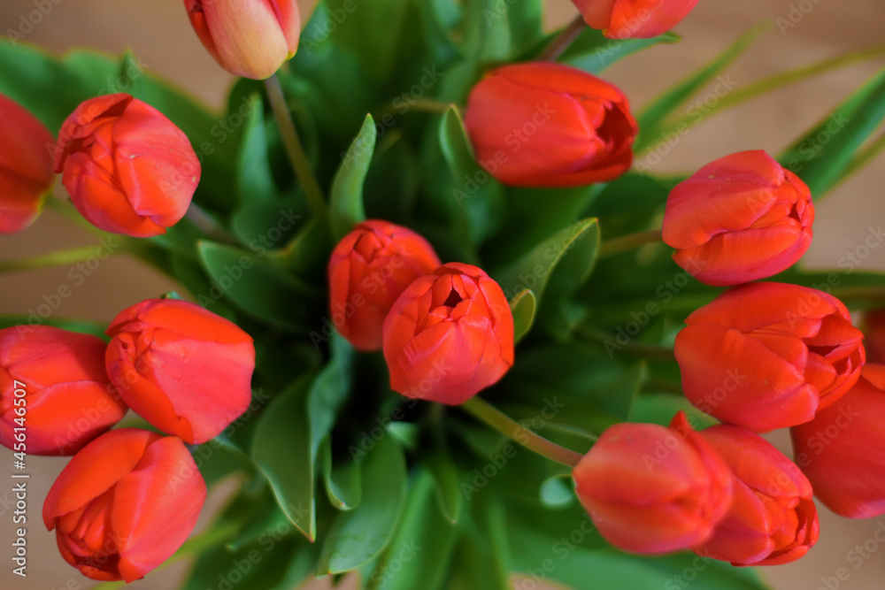 bouquet of red tulips bouquet of red tulips