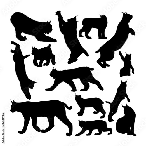 Lynx cat animal silhouettes. Good use for symbol, logo, web icon, mascot, sign, or any design you want.