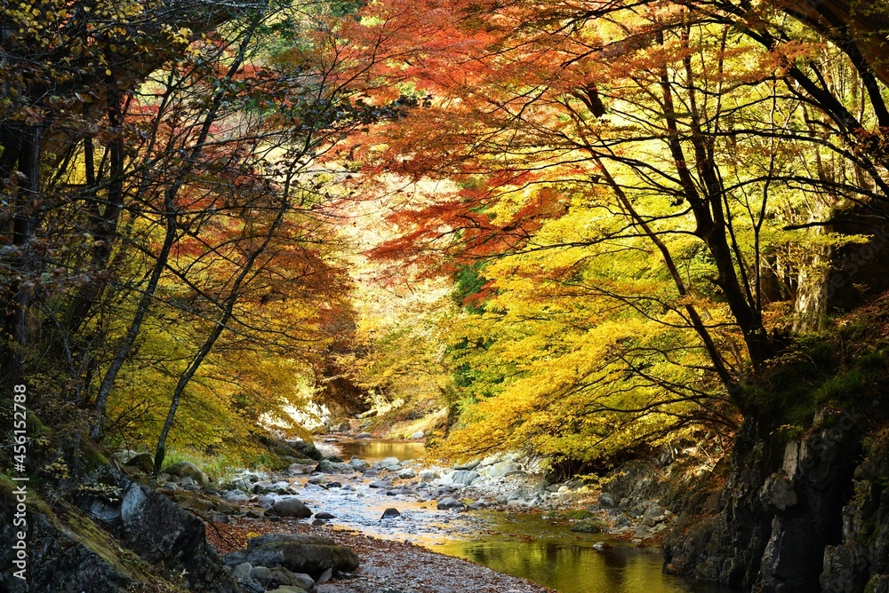 Oashi valley, Kanuma, Tochigi, in autumn Oashi valley, Kanuma, Tochigi, in autumn