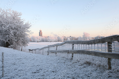 The tower of the Great Church in Deventer, the Netherlands, above trees covered with frost in winter © RMMPPhotography