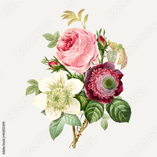 Anemone and cabbage rose vector, remixed from artworks by Pierre-Joseph Redouté photo