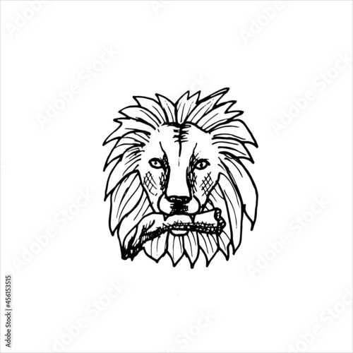 head of a lion with a human hand in his teeth. vector hand drawn sketch of a circus lion severing his handler