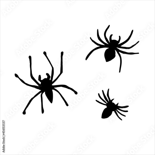 set of hand drawn spiders silhouettes. black ink vector illustration © Kamila Bay