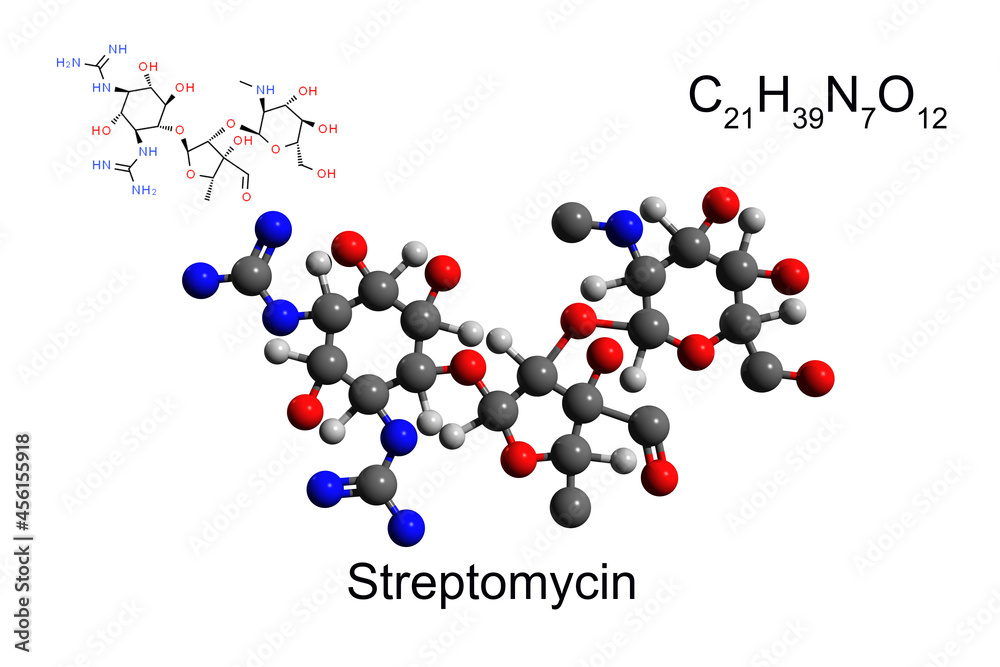 Chemical formula, structural formula and 2D ball-and-stick model of aminoglycoside antibiotic streptomycin, white background Chemical formula, structural formula and 2D ball-and-stick model of aminoglycoside antibiotic streptomycin, white background