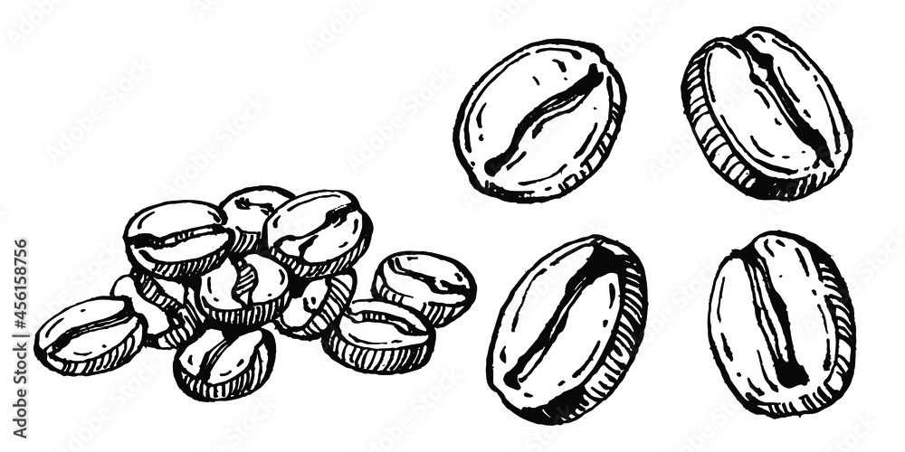 Coffee tree and beans in graphic style hand draw on white background. Isolated object with engraved style illustration. The best for design logo, menu, label, icon, stamp. Coffee tree and beans in graphic style hand draw on white background. Isolated object with engraved style illustration. The best for design logo, menu, label, icon, stamp.
