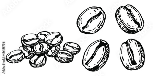 Coffee tree and beans in graphic style hand draw on white background. Isolated object with engraved style illustration. The best for design logo, menu, label, icon, stamp.