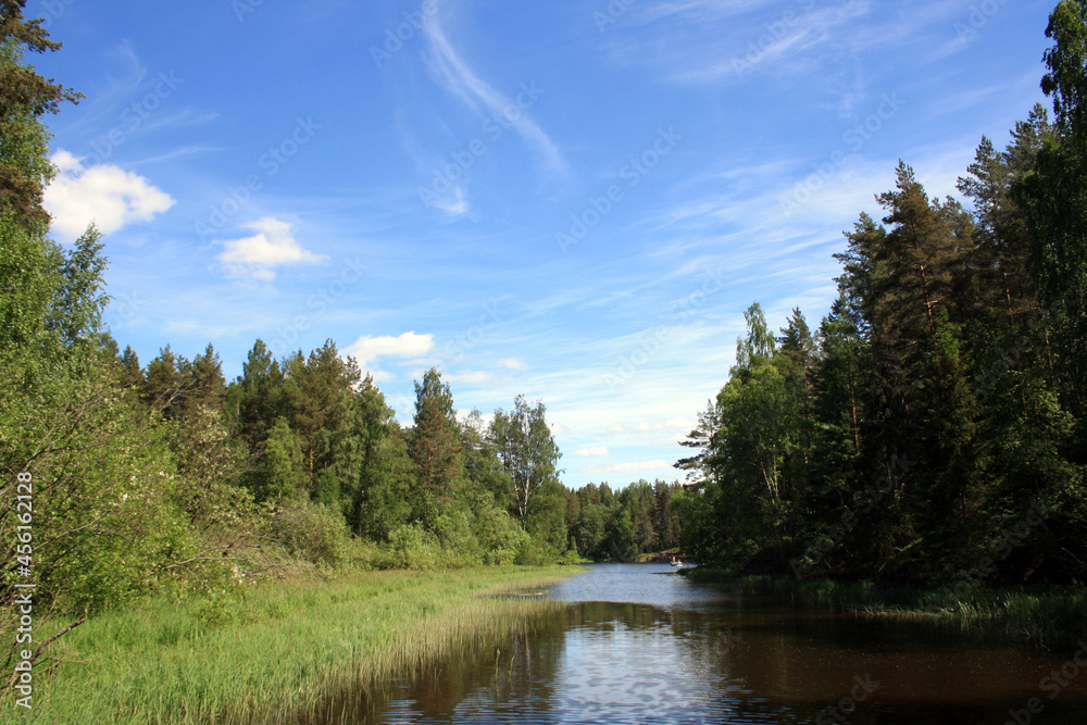The amazing nature of the Karelian Isthmus. The amazing nature of the Karelian Isthmus.