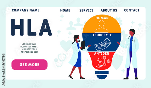 Vector website design template . HLA - Human Leukocyte Antigen acronym. medical concept. illustration for website banner, marketing materials, business presentation, online advertising.