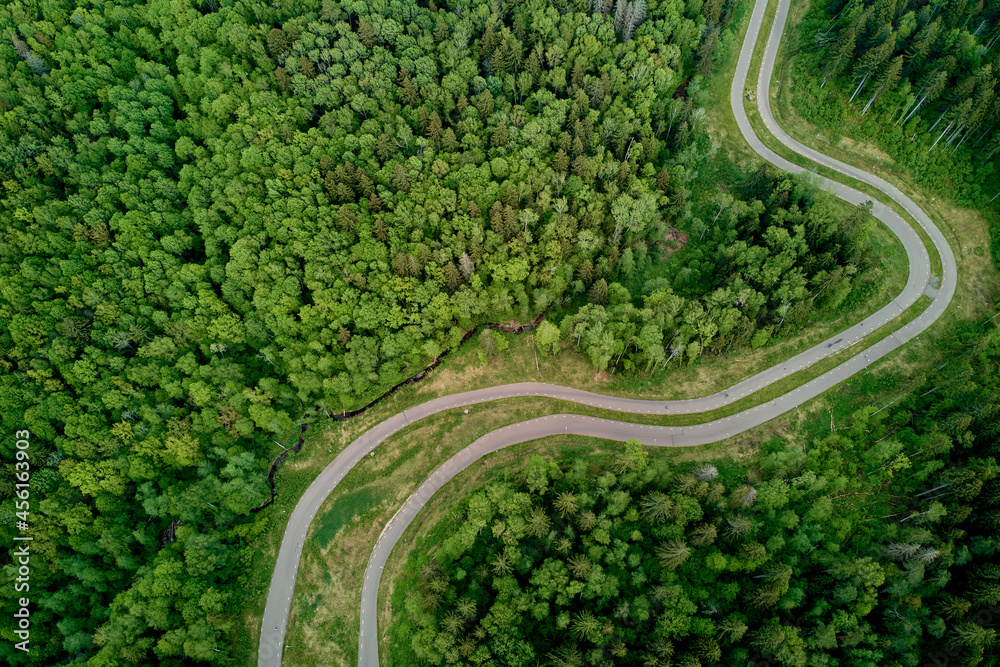 Asphalt road in a beautiful area. Aerial view of a roller ski trail winding through a forest landscape