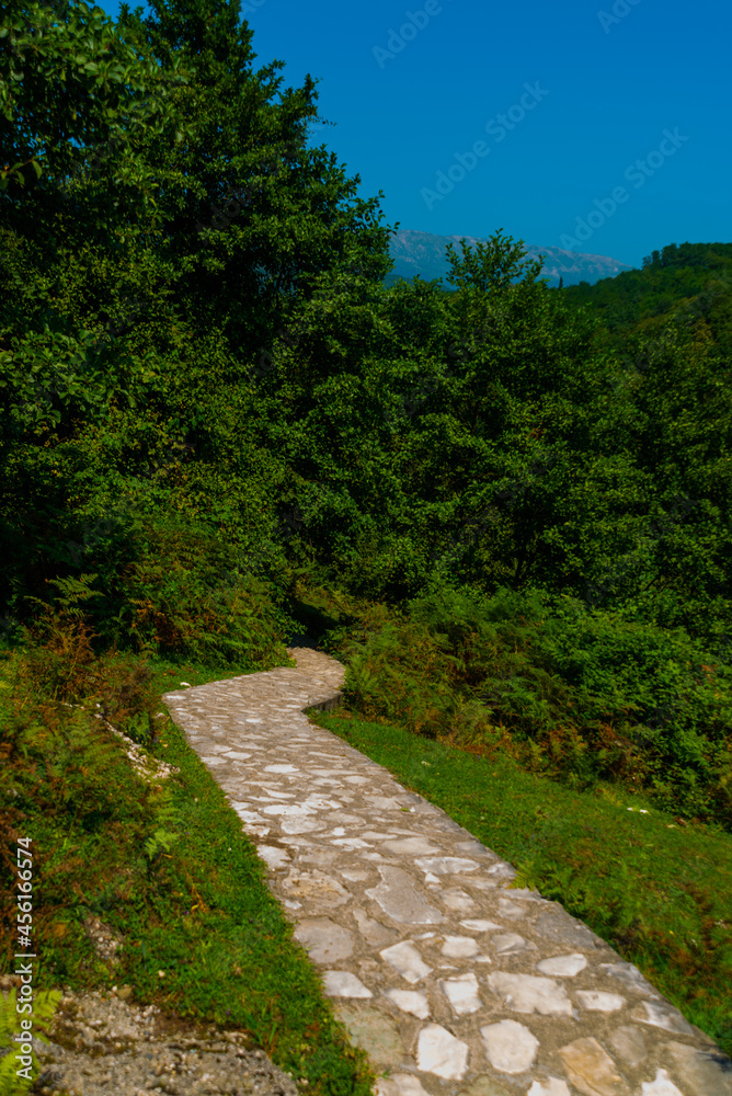 OKATSE, GEORGIA: A beautiful scenic road that leads to Okatse Canyon on a sunny summer day.